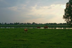 Cuijk Parc Maasboulevard