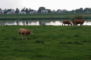 Cuijk Parc Maasboulevard